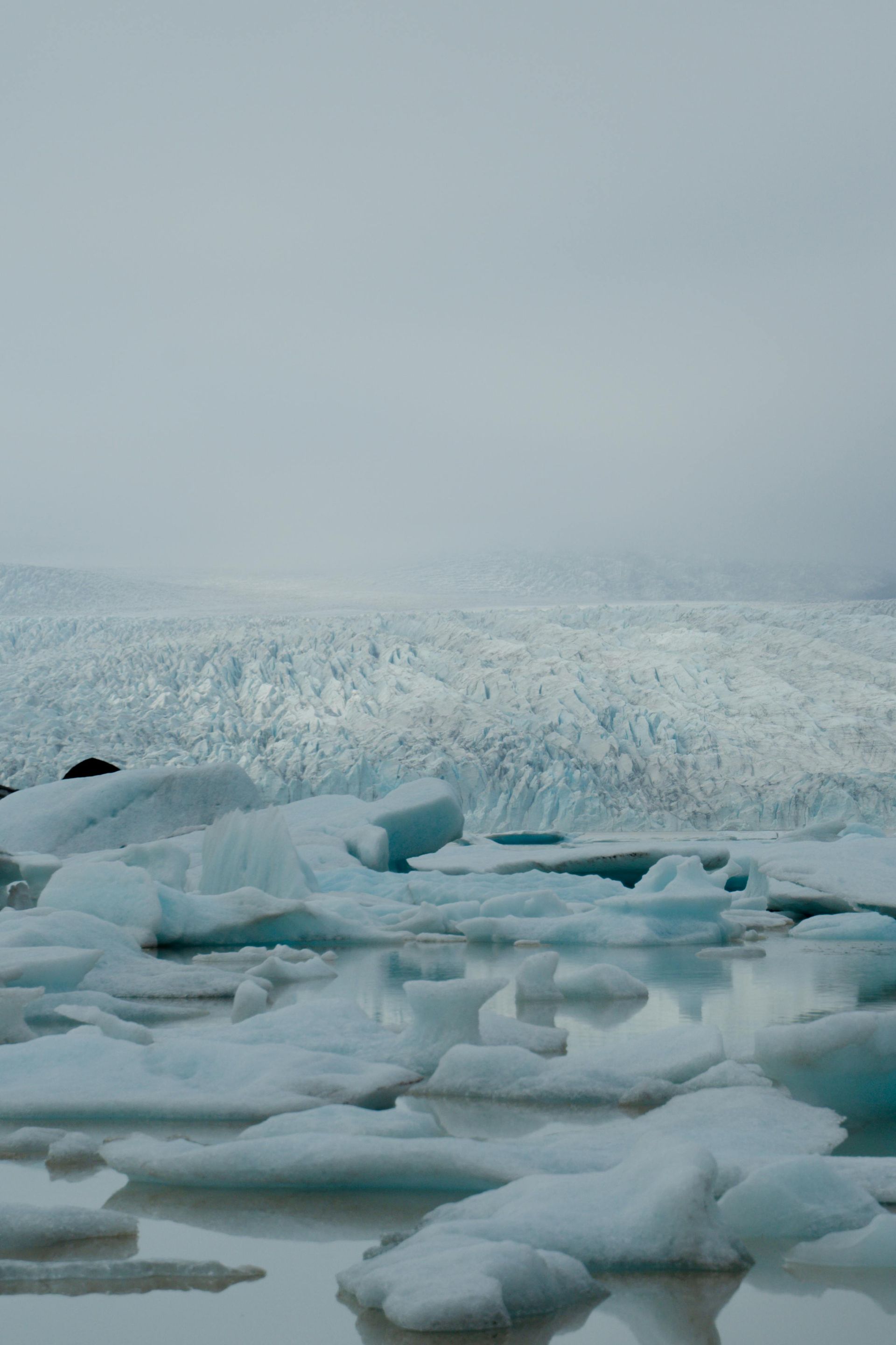 Ice floes floating on a gray, frozen sea under an overcast sky