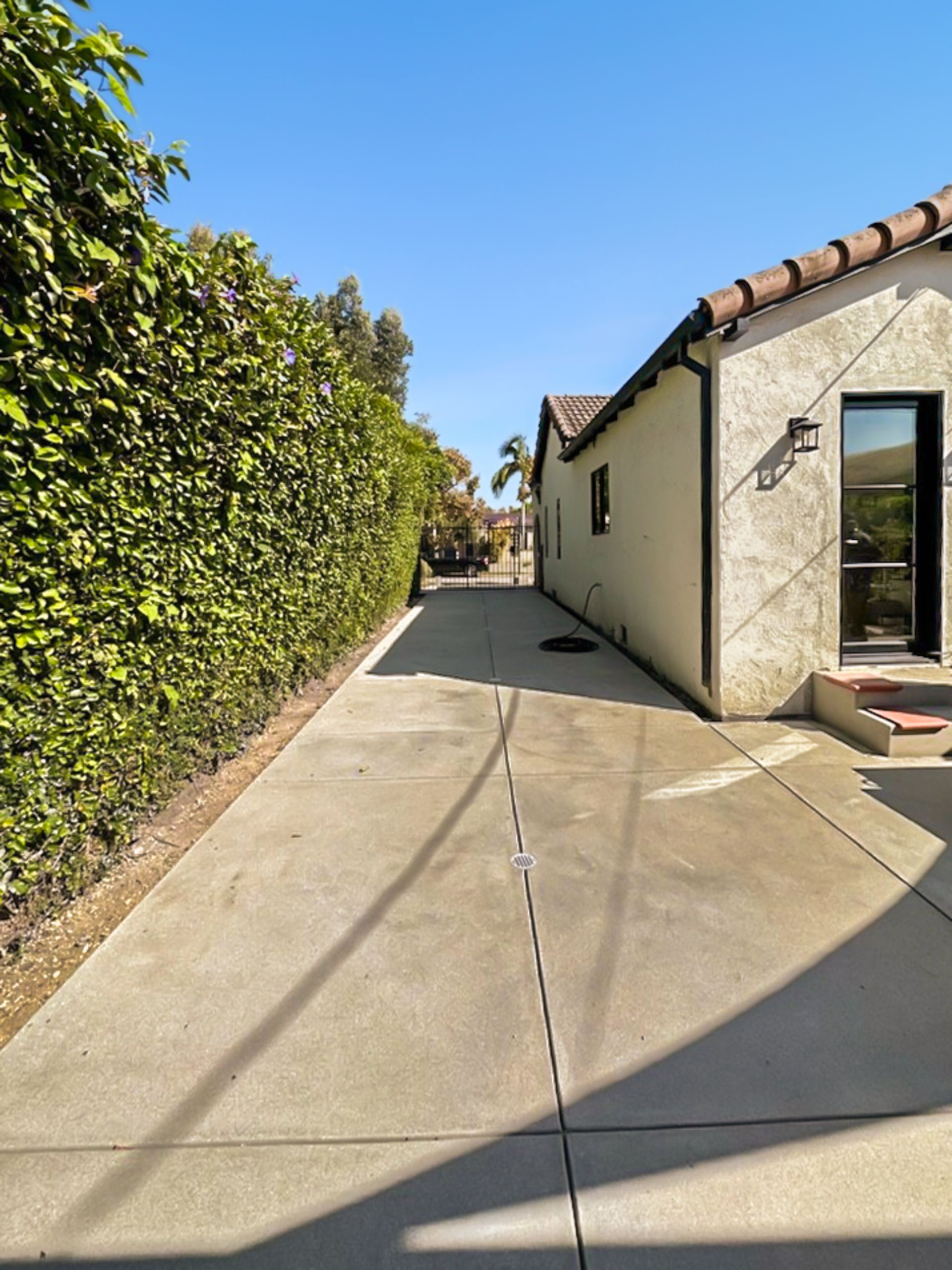 Sunny driveway beside tall hedge and white stucco house with open door