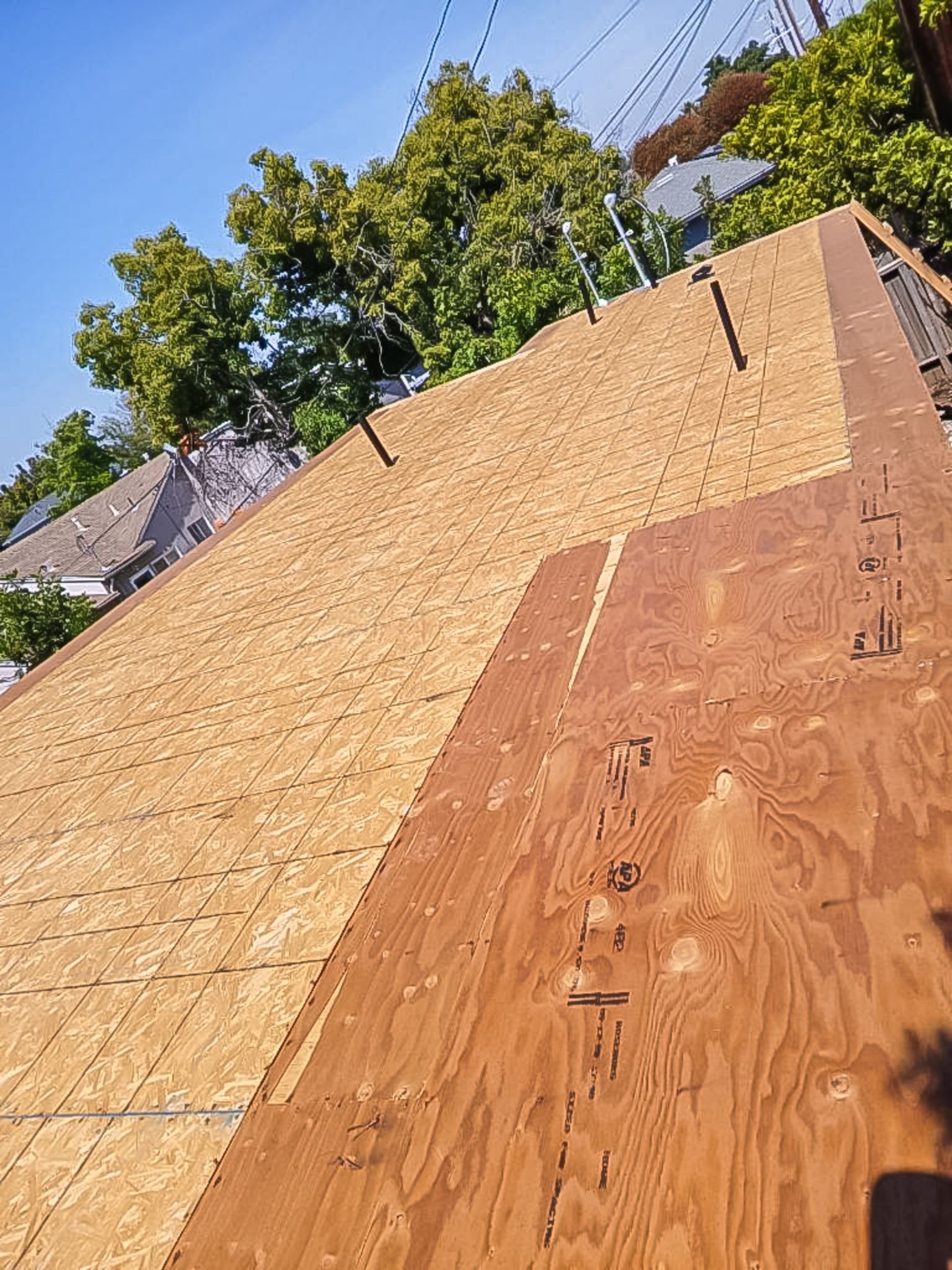Rooftop under construction with plywood sheathing, seen at an angle against trees and blue sky.