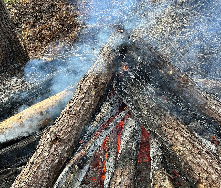 Burning logs in a small campfire, with red embers and wisps of smoke on snowy ground.