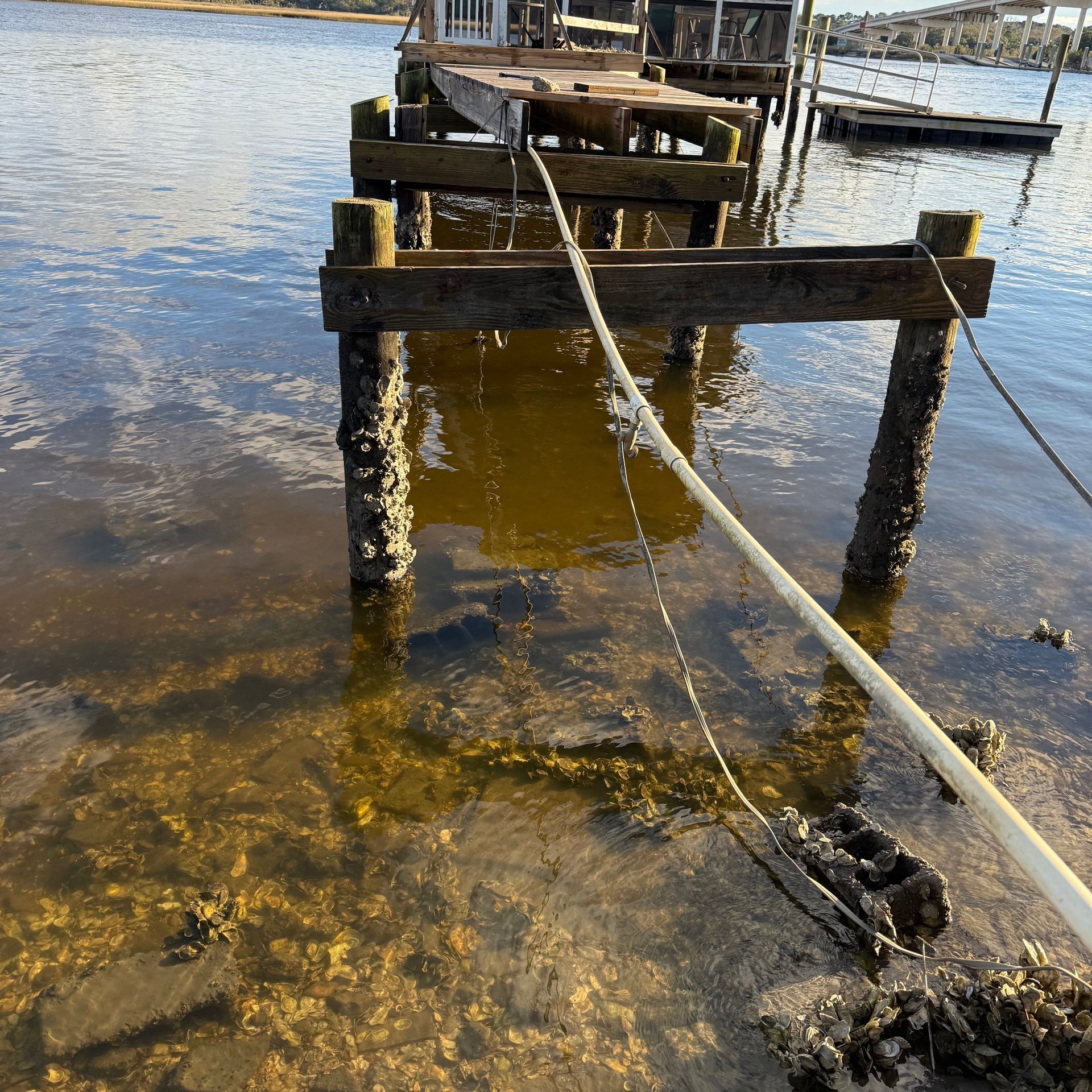 Wooden dock posts in shallow water with a rope leading to a small floating platform.