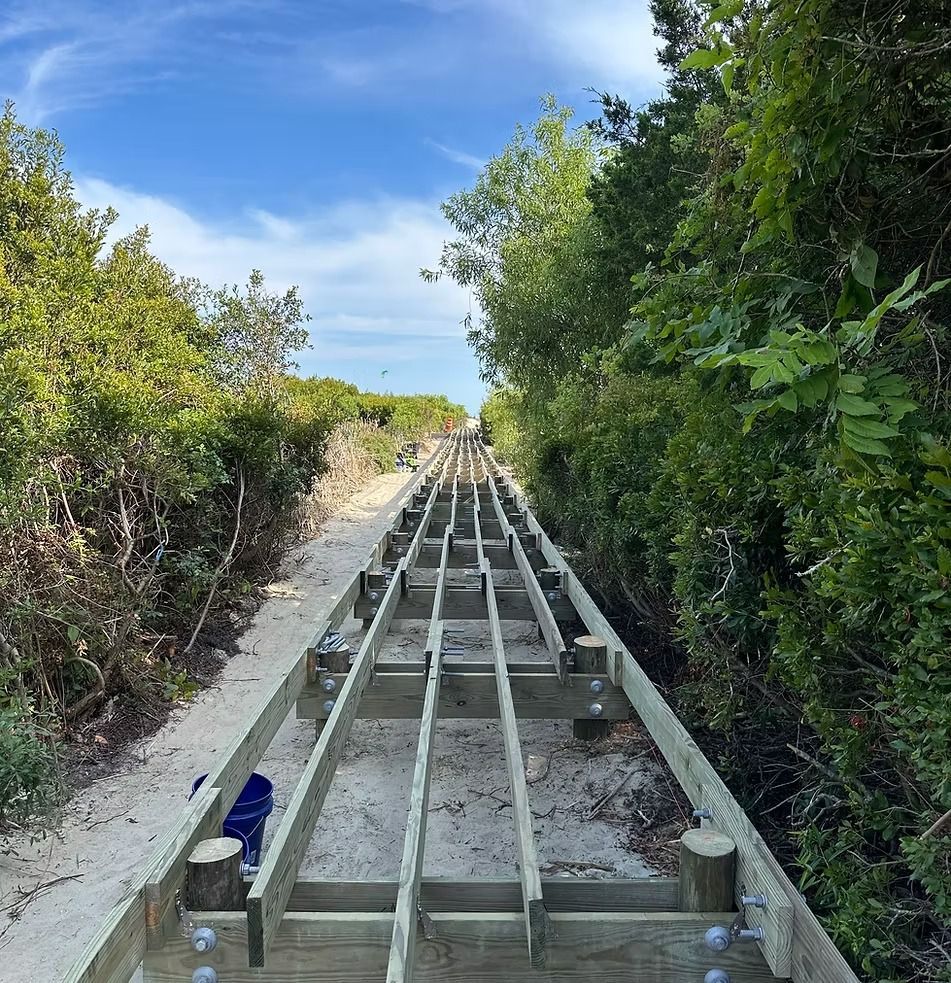 Wooden rails running through a sandy path between dense green bushes under a blue sky.