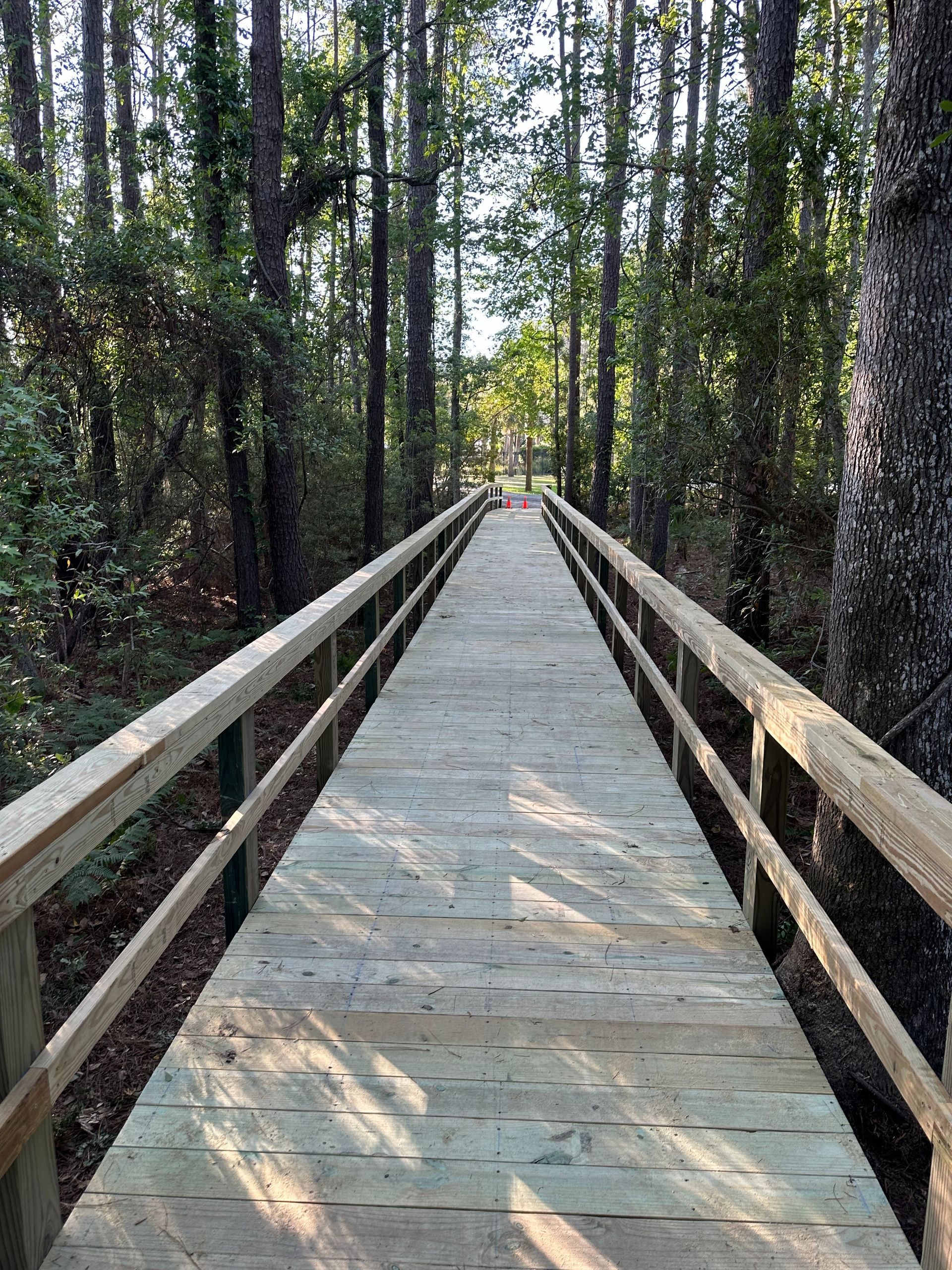 Wooden boardwalk path through a dense forest, with railings on both sides and sunlight ahead