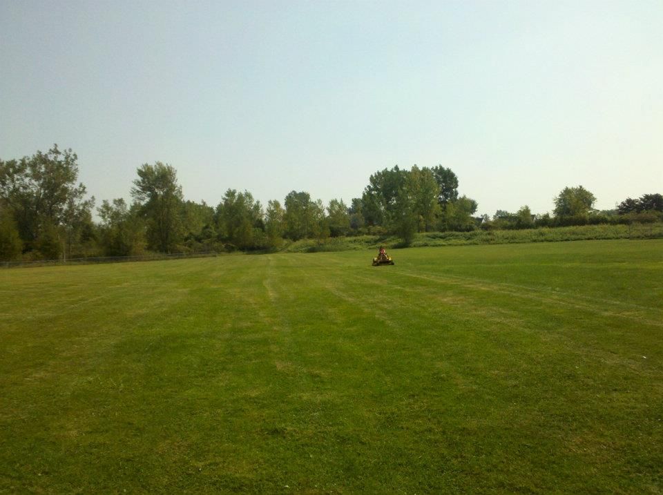 Wide green field with a lone person sitting near the center and trees lining the horizon under a hazy sky