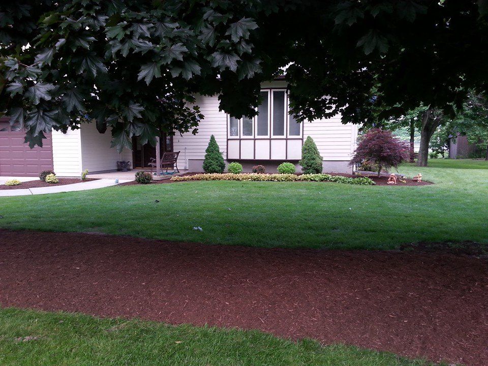 Front yard with green lawn, mulch bed, shrubs, and a house under leafy trees