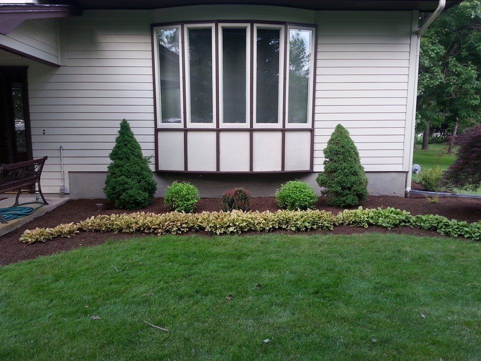 Front of house with large bay window, trimmed shrubs, and a neatly edged lawn.