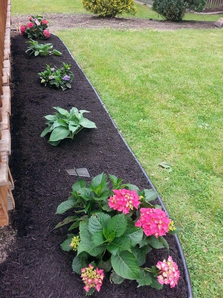 Flower bed with pink blooms and green plants along a freshly mulched garden border beside a lawn
