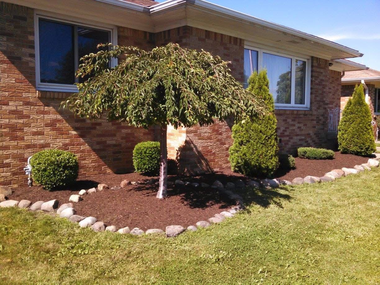 Front yard landscaping with a trimmed tree, shrubs, white rocks, and a brick house exterior