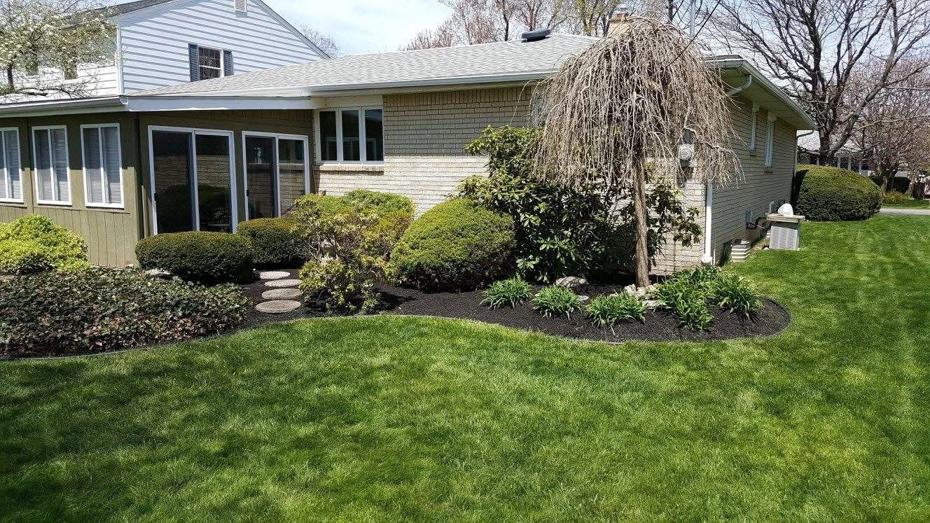 Front yard garden with green lawn, shrubs, a flowering tree, and a house with large windows