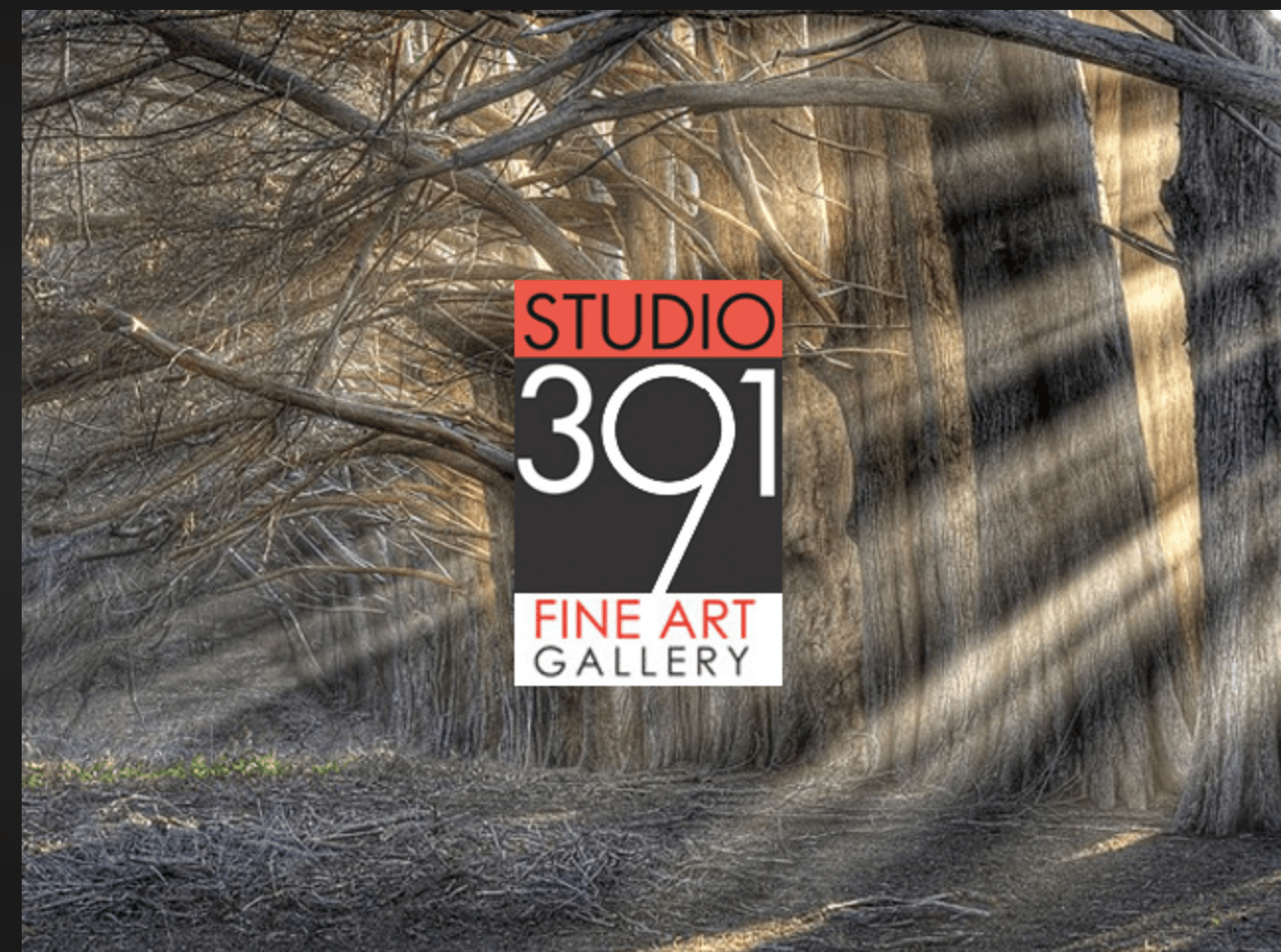 391 gallery logo