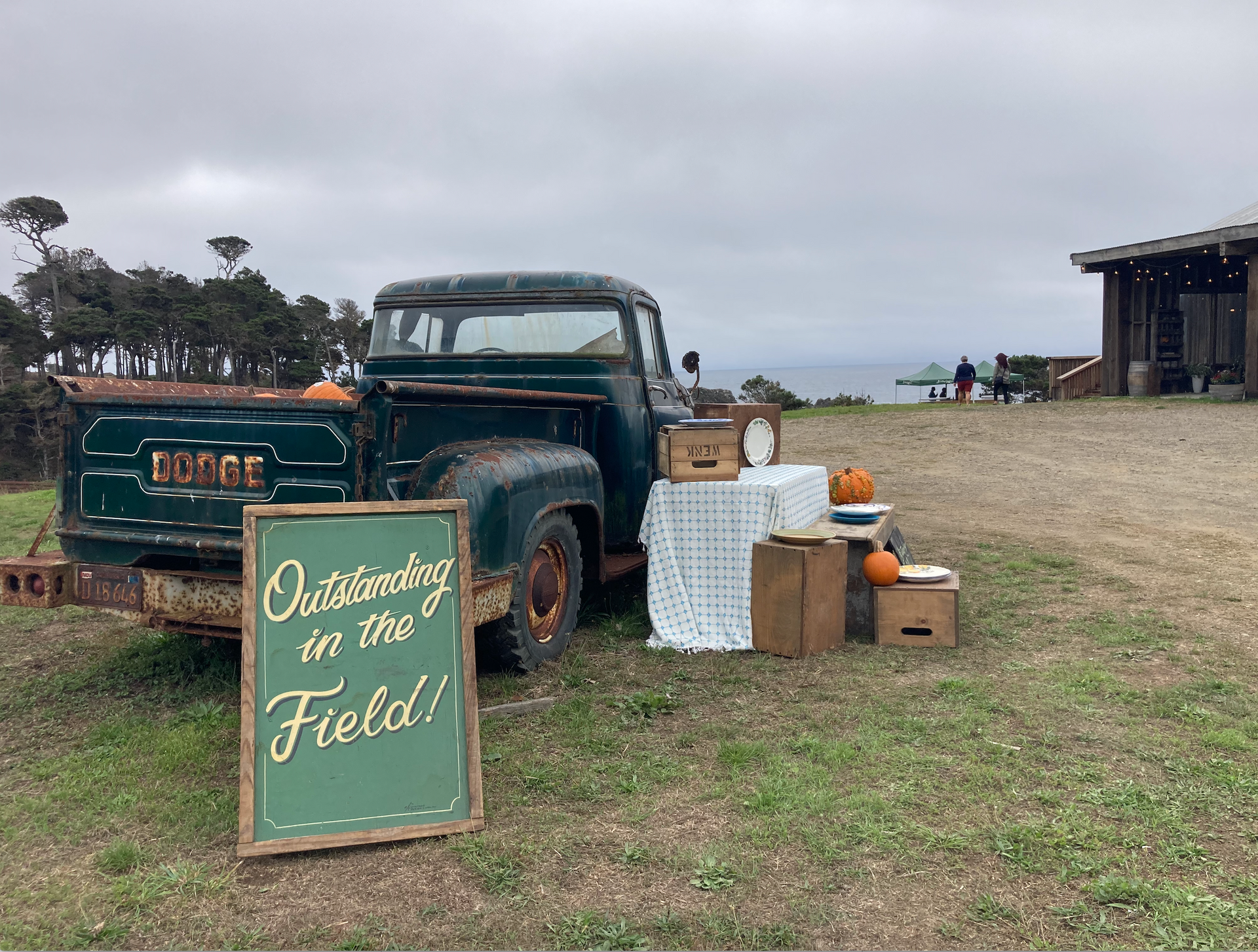 A vintage green Dodge pickup truck serves as a display with a sign reading 