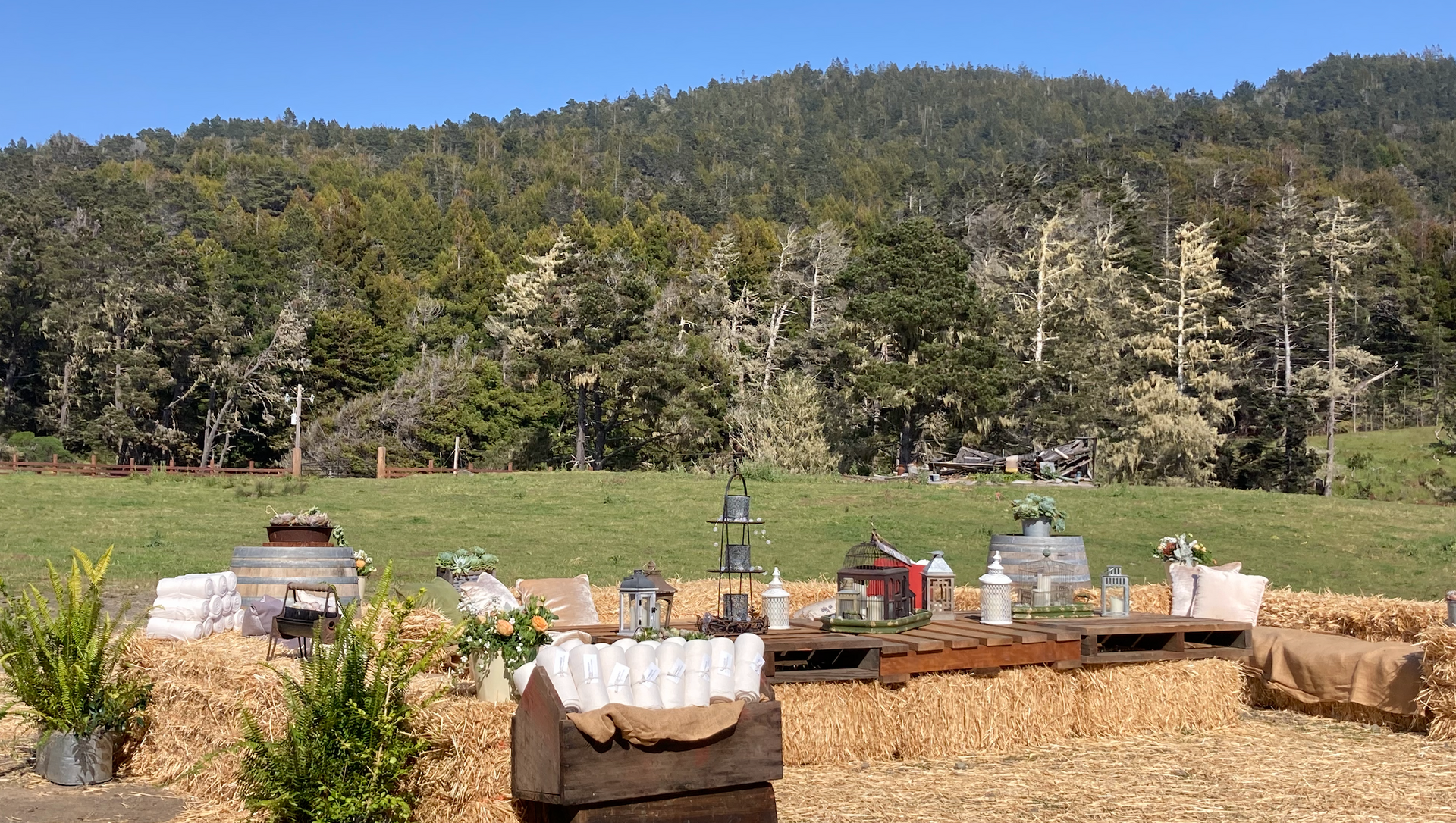 The Landing at Stewarts Point. An outdoor lounge rustic setup with wooden crates, hay bales, and decorative lanterns arranged in a grassy field before a forest.