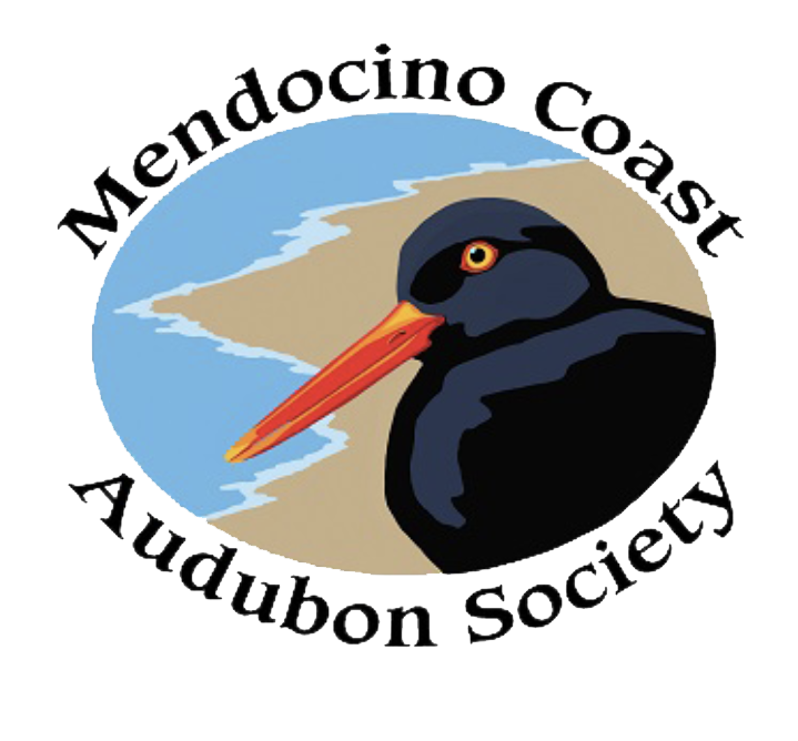 mendo coast logo