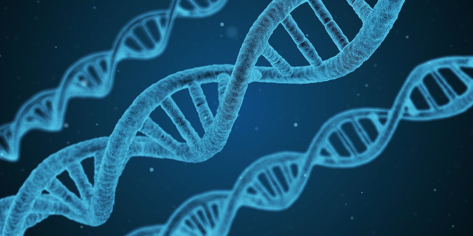 Three blue DNA double helix strands against a dark blue background.