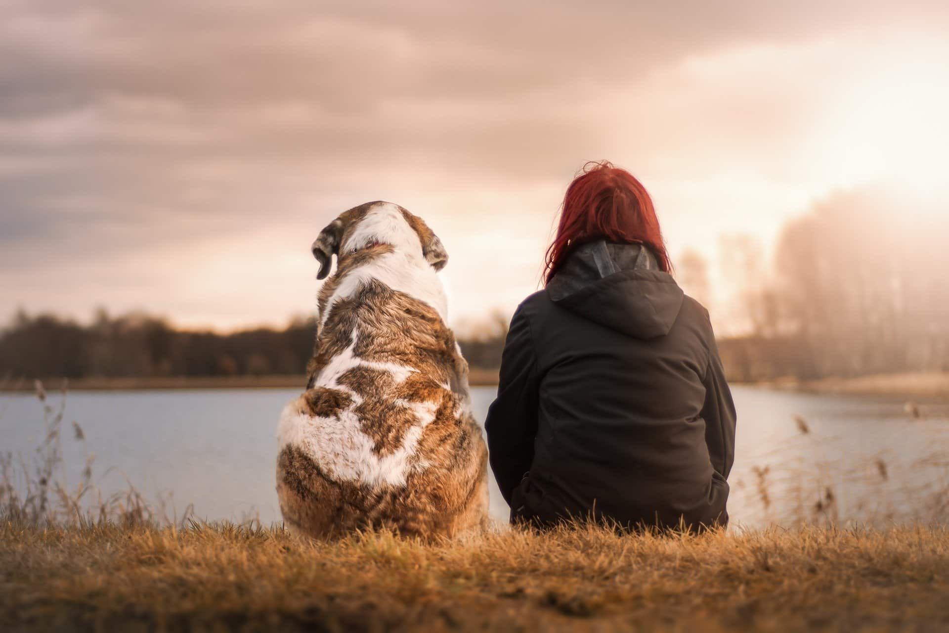 Woman with red hair and dog sit side-by-side, looking out at a lake as the sun sets.