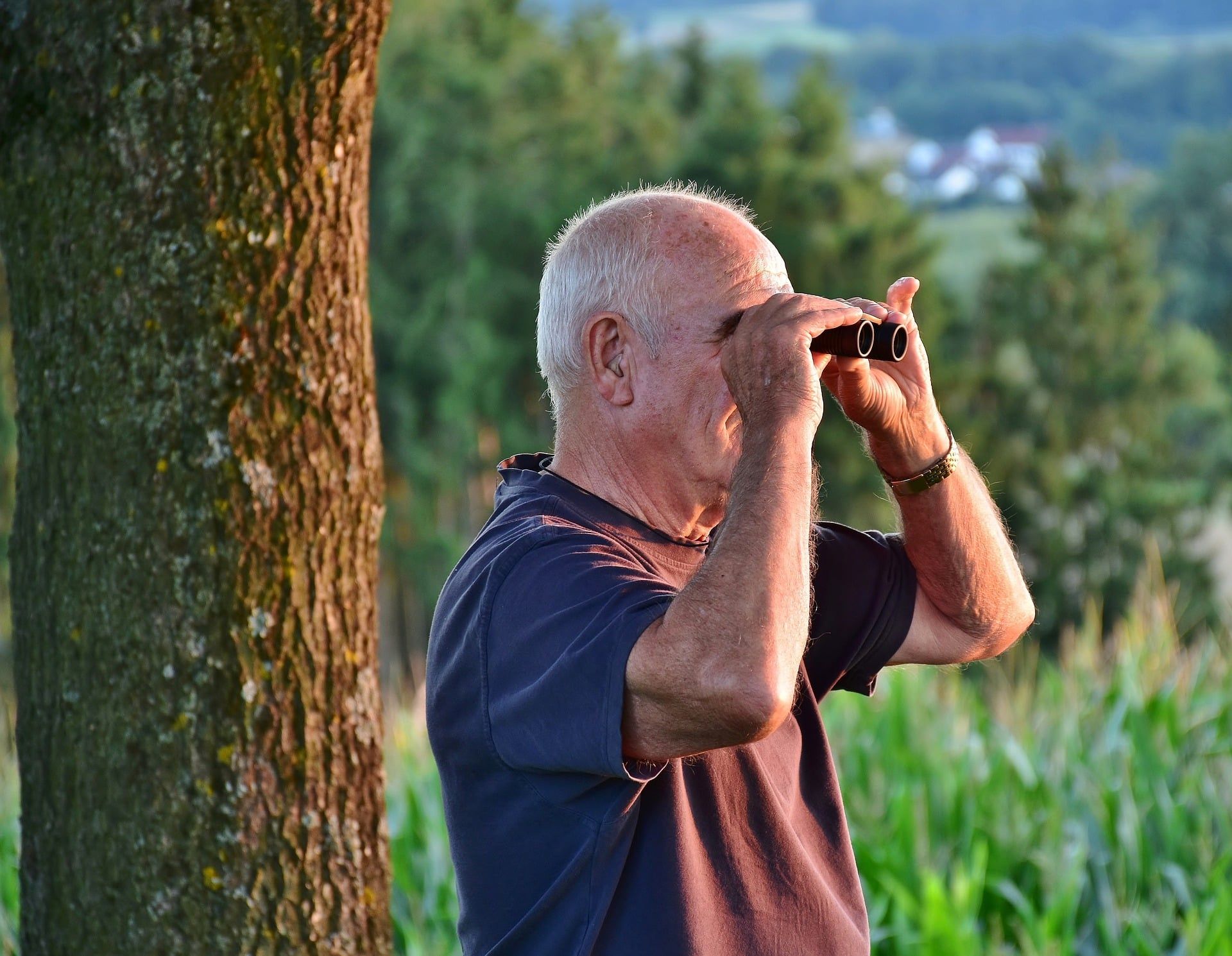 Man looking through binoculars beside a tree in a grassy field at sunset