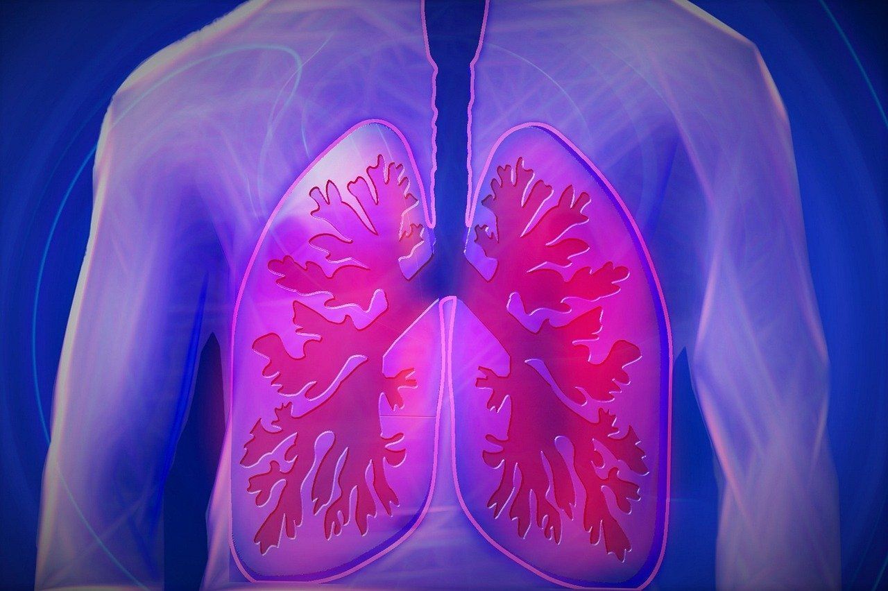 Anatomical illustration showing lungs in a human torso. Lungs are highlighted in pink, the torso is purple.