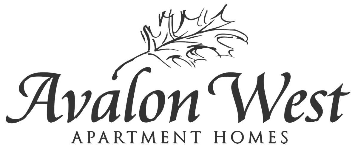 Company Logo - Click to go to Home Page