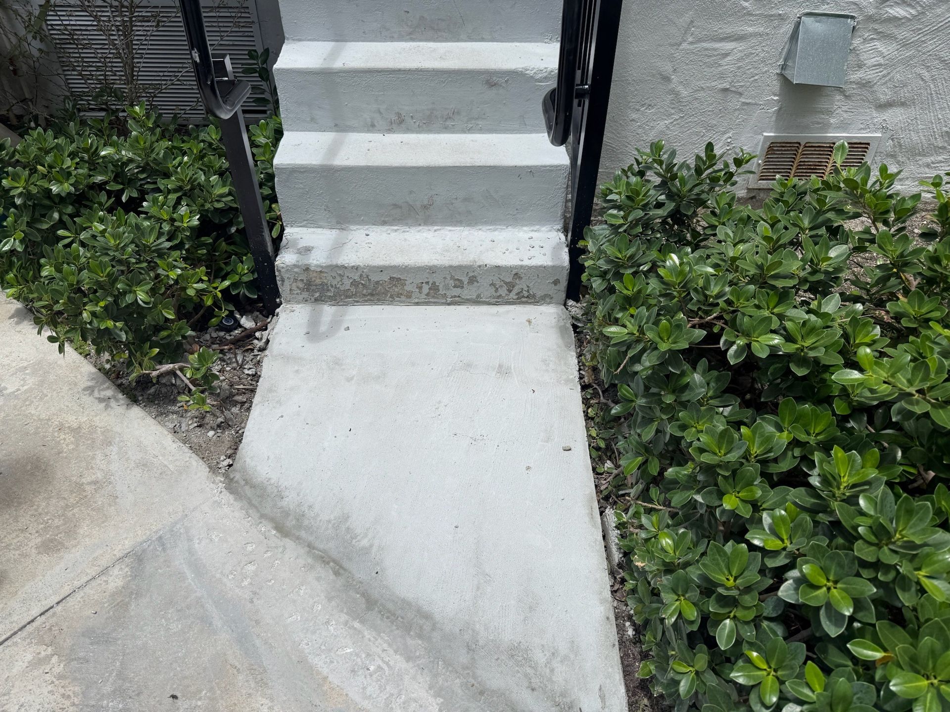 Concrete walkway leading to gray steps with black railings, bordered by green shrubs.