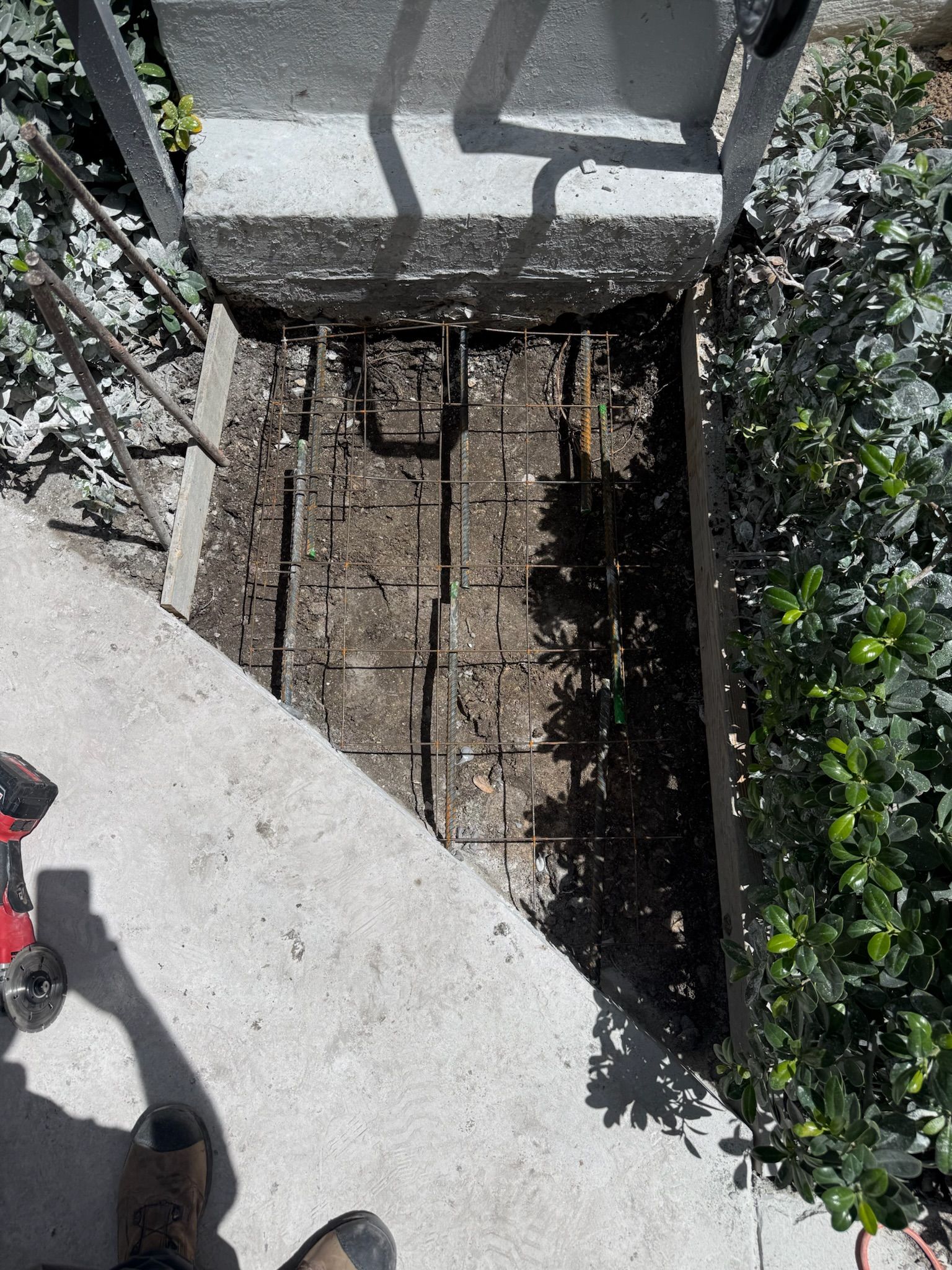 Narrow concrete walkway with a recessed dirt trench and a metal grate, bordered by greenery and shadows.