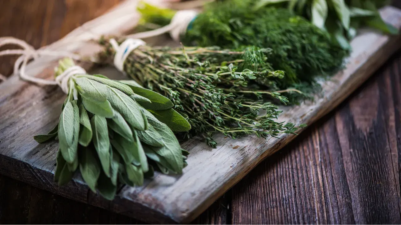 Bunches of herbs wrapped in rope