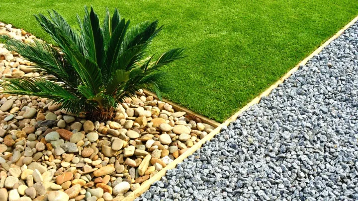 a plant emerging from rocks next to a gravel driveway and a green lawn