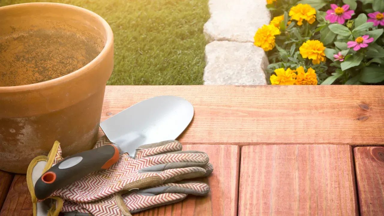 a pot of soil on a porch next to some gardening gloves and a small shovel