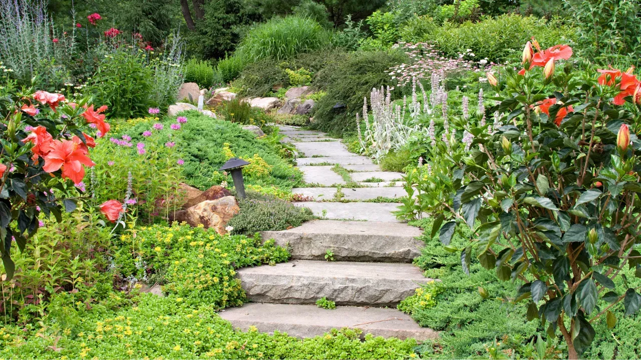 A stone landscaped set of steps with flowers growing all around it