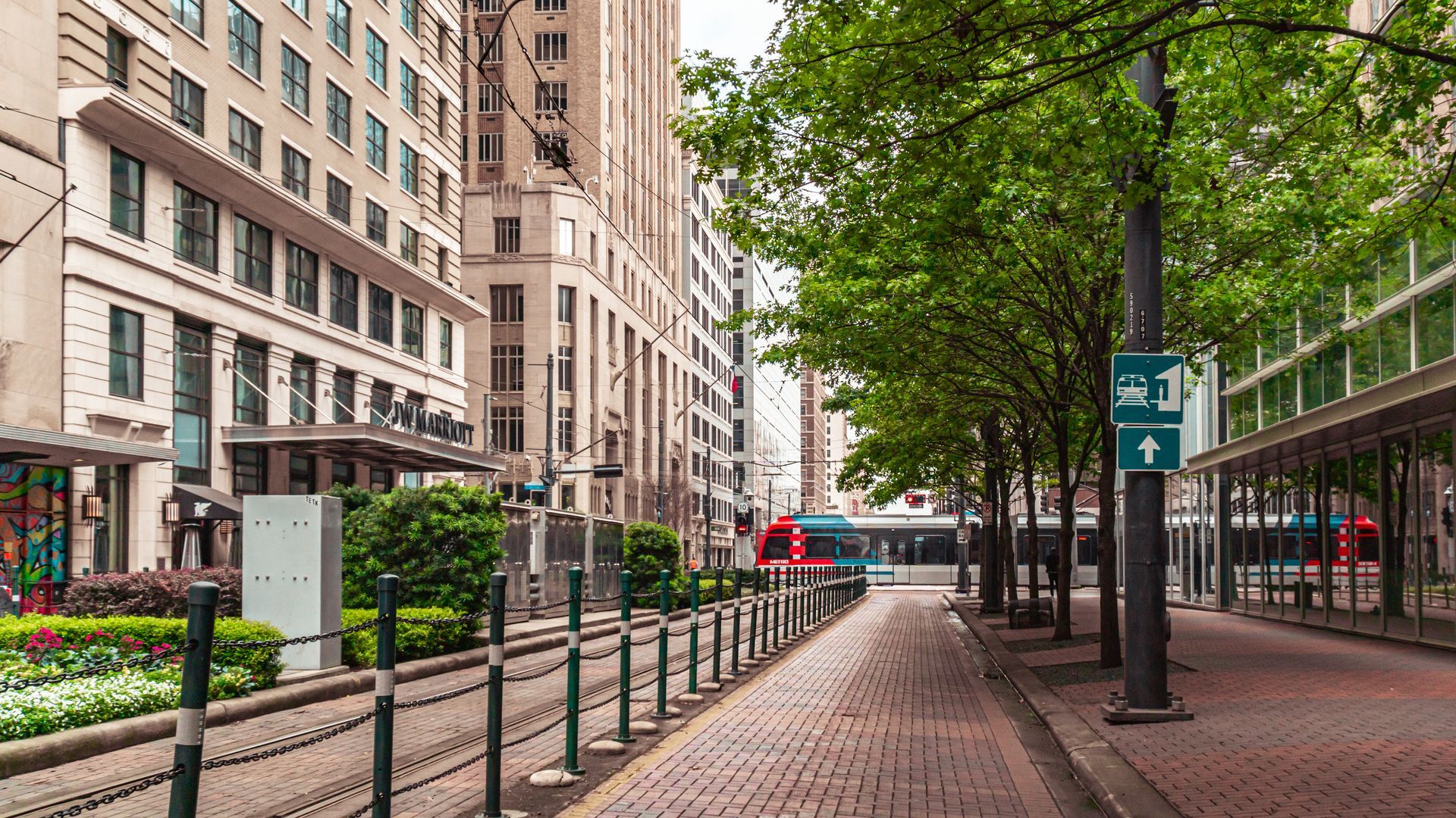 Tree-lined city street with brick sidewalk, tall buildings, and parked bicycles on a rainy day