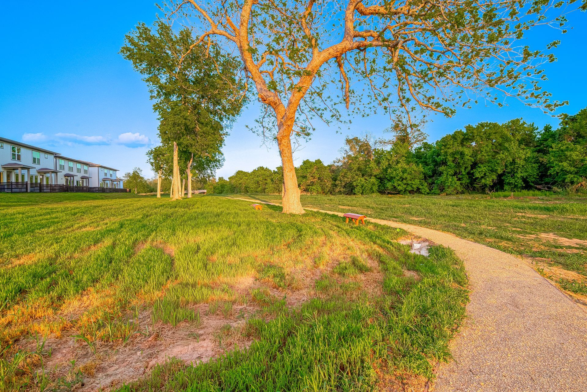 Curved gravel path through a sunny green park with a large tree and buildings in the background