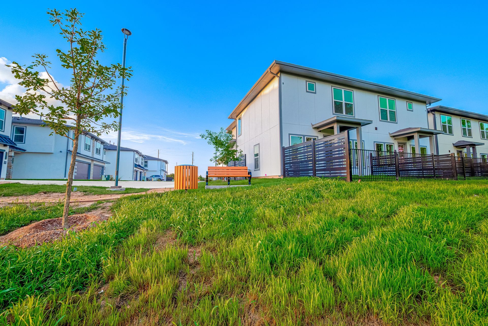 Grassy hill with a young tree, bench, and row of townhouses under a blue sky