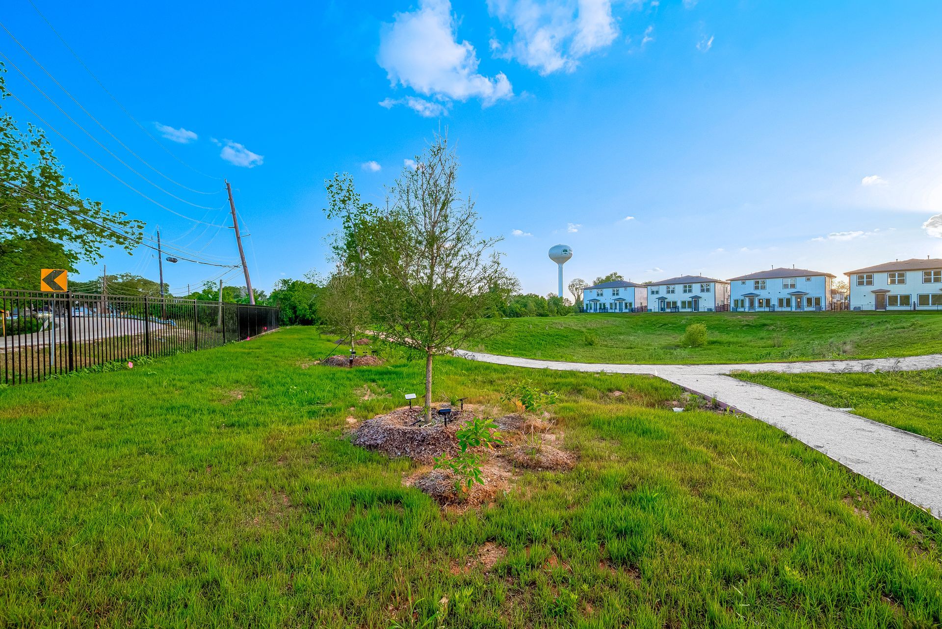Grassy park with a small tree, paved path, and row of houses under a bright blue sky