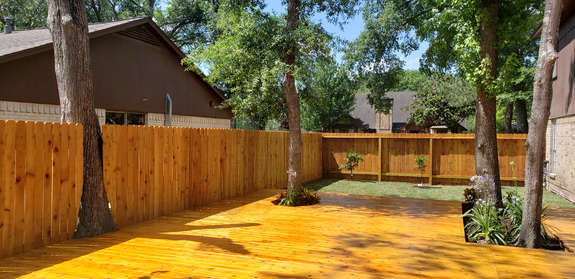 A backyard with a wooden fence, trees, and golden-colored dirt, sunny day.