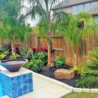 Backyard landscaping with palm trees, plants, and a pool with blue tile.