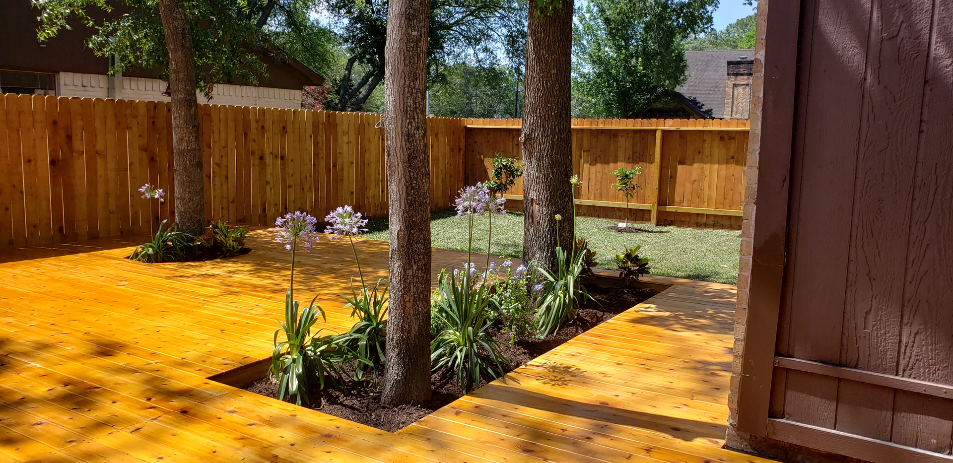 Backyard with trees, fence, and concrete path. Yellow ground cover, green grass, and flowers.