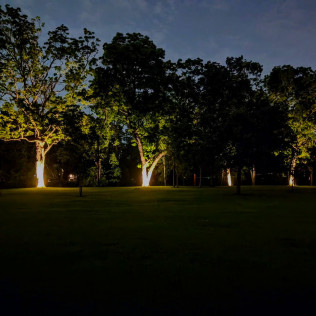 Nighttime view of a grassy lawn with trees illuminated by spotlights.