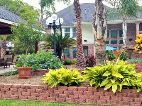 A backyard with a multi-level brick retaining wall, lush green and yellow plants, and a large house in the background.