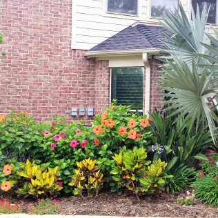 Brick building with lush garden of hibiscus, croton, and palm trees.