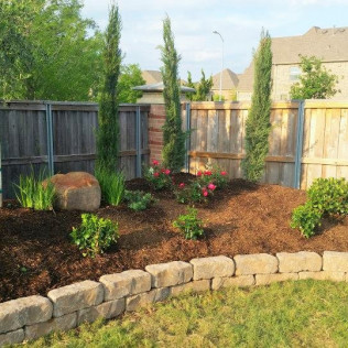 Landscaped garden bed with stone wall, mulch, plants, and tall, slender trees against a wooden fence.