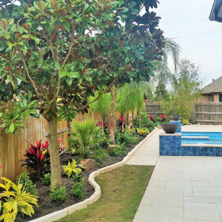 Landscaped backyard with pool, plants, and wooden fence.