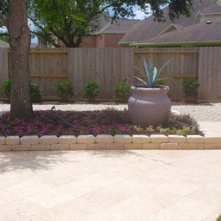 Backyard garden bed with a large tree, purple flowers, a potted agave plant, and a beige patio.