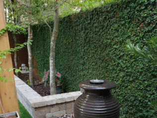 Green ivy-covered wall, small trees, and a decorative fountain in a garden setting.
