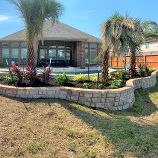 Backyard with brick house, palm trees, and curved retaining walls with flower beds.