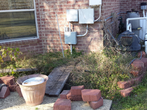 Exterior wall with electrical boxes, overgrown bushes, a planter, and pool equipment.