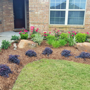 Front yard landscaping with brick house, featuring flowerbeds, mulch, bushes, and lawn.