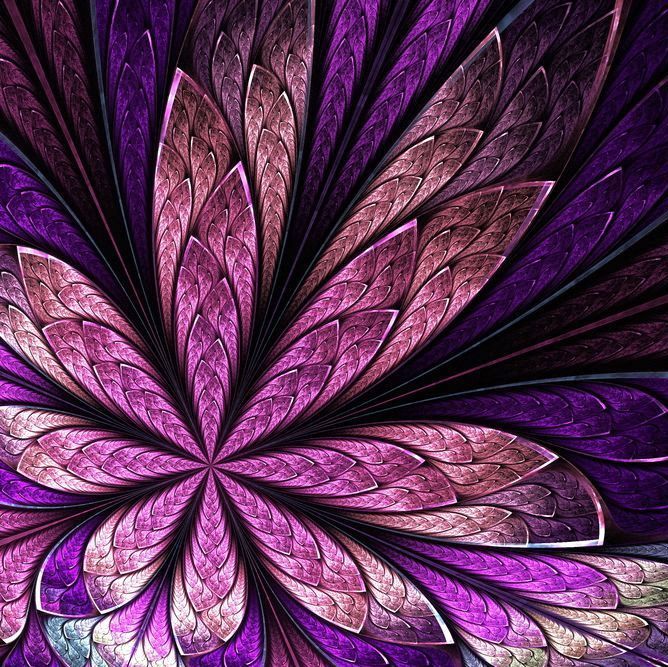 Sacred Journey Module 16 Unity in Belonging