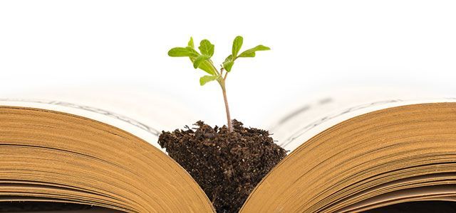 conscious evolution, grassroots