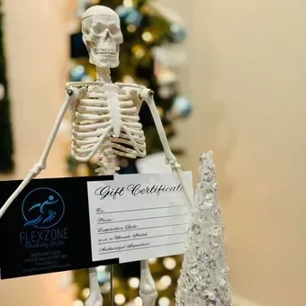 flexzoneniceville