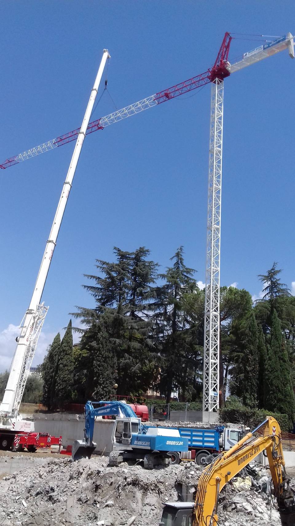Gru e alberi