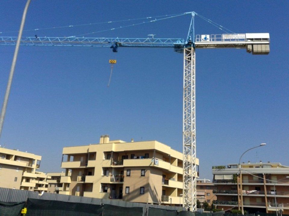 Gru bianca e azzurra
